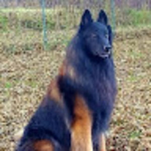 Meet your Posher, Vicki